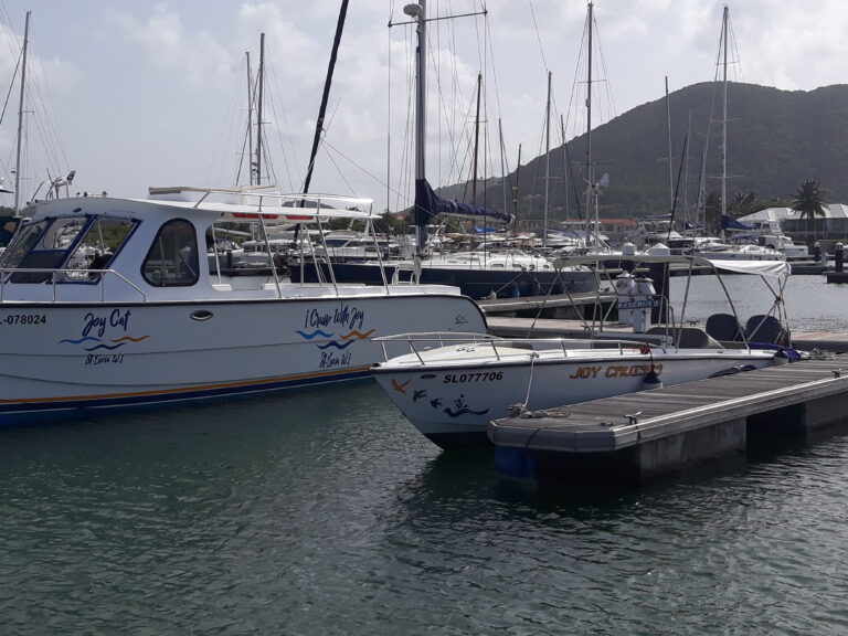 Tours and Sightseeing Joy's Adventure