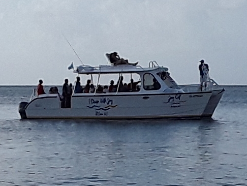 jj speed boat tours st lucia